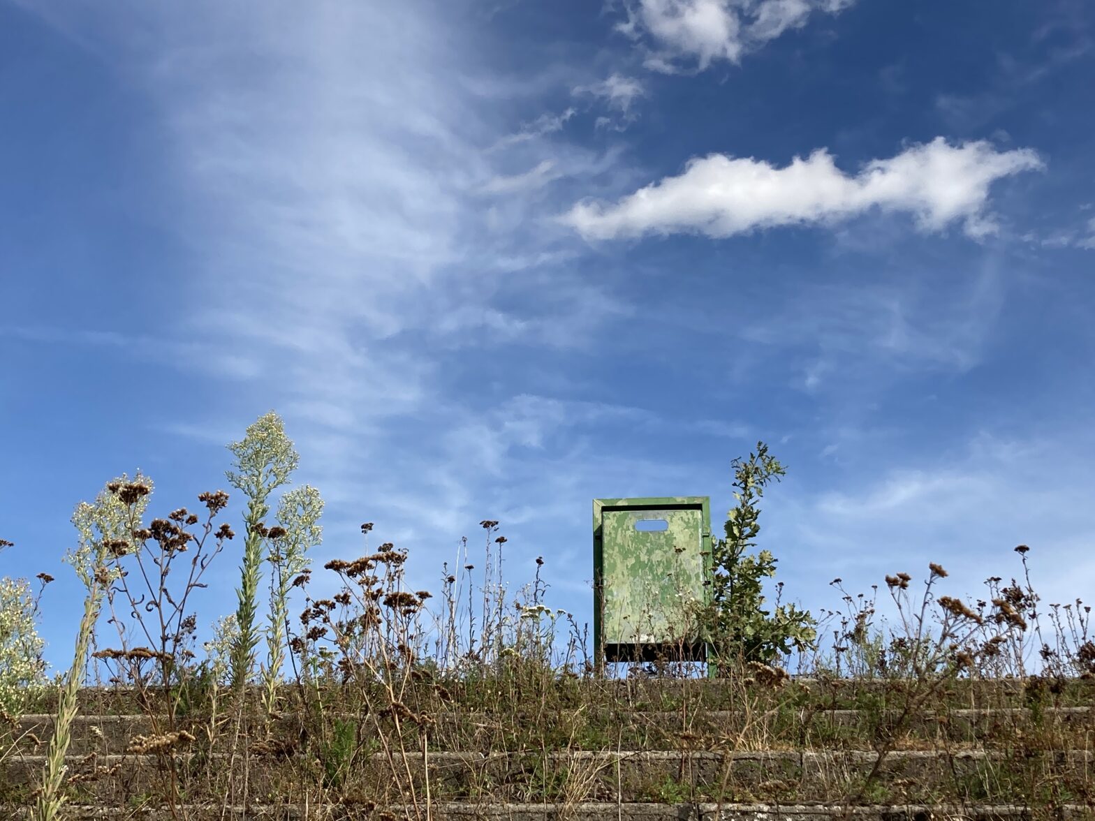17.05.2026            Krautschau