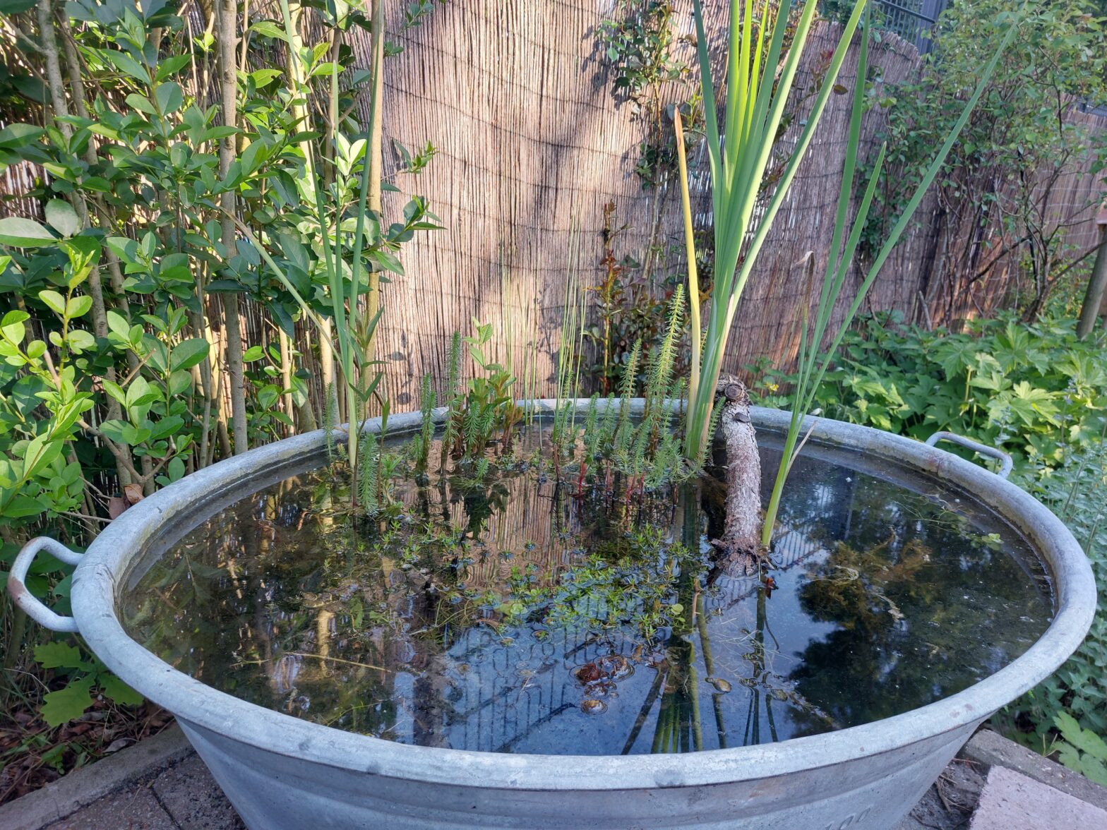 Garten- und Balkonwettbewerb